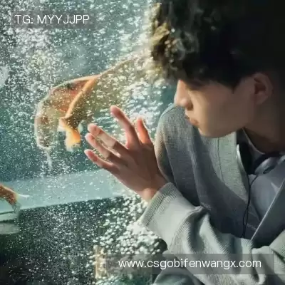 费仲季